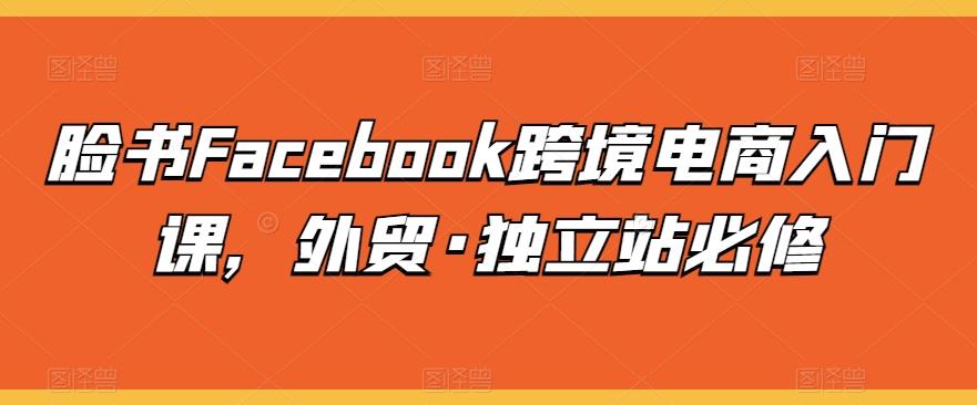 脸书Facebook跨境电商入门课，外贸·独立站必修-九洲网