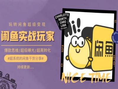 手把手教你0到1系统玩转闲鱼变现，爆款思维/超级曝光/超高转化-九洲网