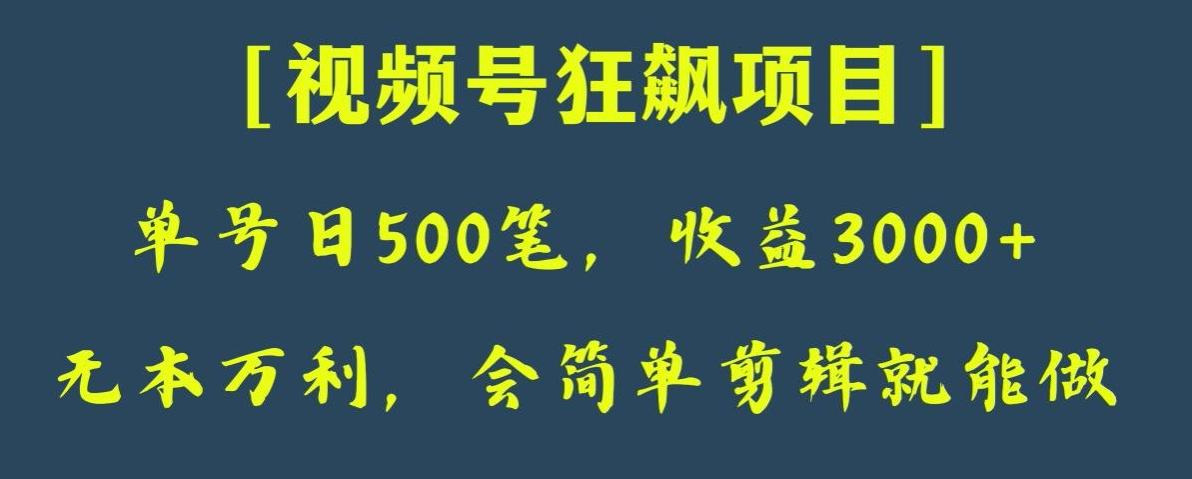 日收款500笔，纯利润3000+，视频号狂飙项目，会简单剪辑就能做【揭秘】-九洲网