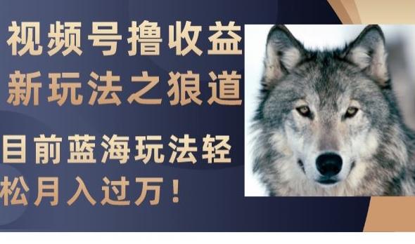 视频号撸收益新玩法之狼道，目前蓝海玩法，轻松月入过万【揭秘】-九洲网