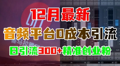 12月最新：音频平台0成本引流，日引流300+精准创业粉-九洲网
