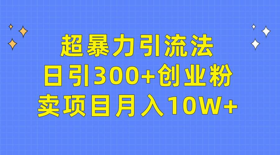 (9954期)超暴力引流法，日引300+创业粉，卖项目月入10W+-九洲网