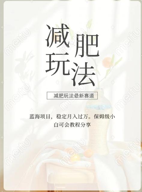 减肥流量主新玩法，轻松月入1W，可矩阵操作收入翻倍-九洲网