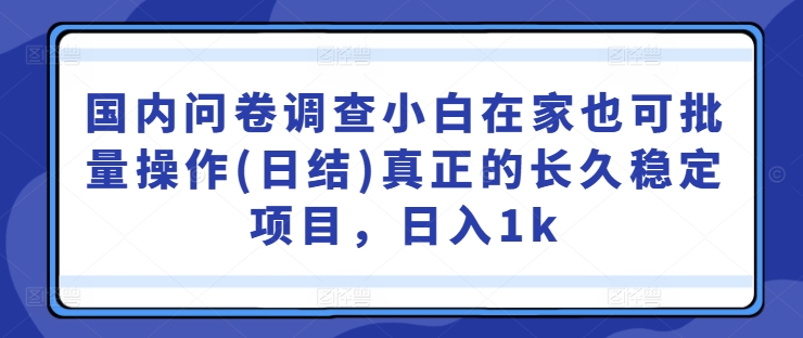 国内问卷调查小白在家也可批量操作(日结)真正的长久稳定项目，日入1k【揭秘】-九洲网