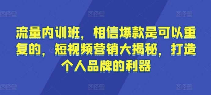 流量内训班，相信爆款是可以重复的，短视频营销大揭秘，打造个人品牌的利器-九洲网