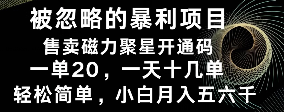 被忽略的暴利项目！售卖磁力聚星开通码，一单20，一天十几单，轻松月入五六千-九洲网