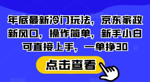 年底最新冷门玩法，京东家政新风口，操作简单，新手小白可直接上手，一单挣30【揭秘】-九洲网