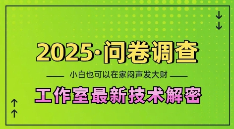 2025问卷调查最新工作室技术解密：一个人在家也可以闷声发大财，小白一天2张，可矩阵放大【揭秘】-九洲网