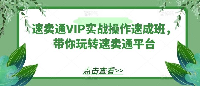 速卖通VIP实战操作速成班，带你玩转速卖通平台-九洲网