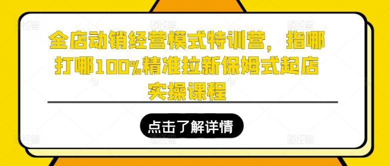 全店动销经营模式特训营，指哪打哪100%精准拉新保姆式起店实操课程-九洲网