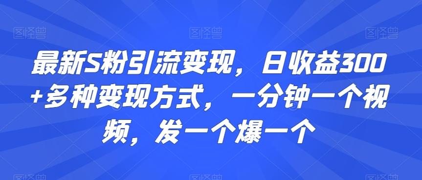 最新S粉引流变现，日收益300+多种变现方式，一分钟一个视频，发一个爆一个【揭秘】-九洲网
