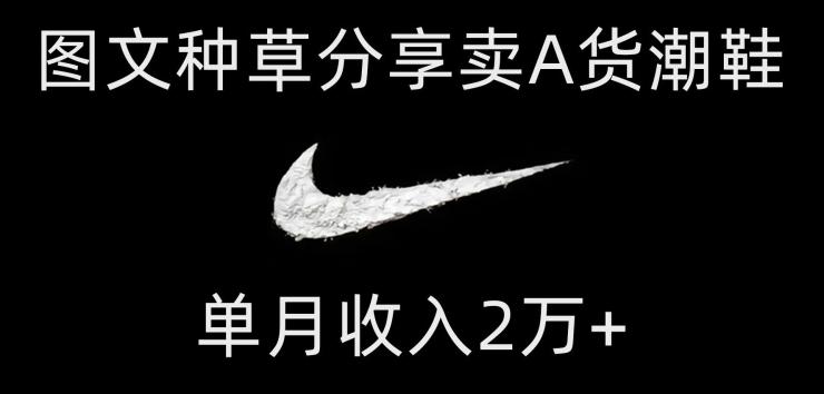 靠图文种草分享卖A货潮鞋，每天一小时，单月收入2万+【揭秘】-九洲网
