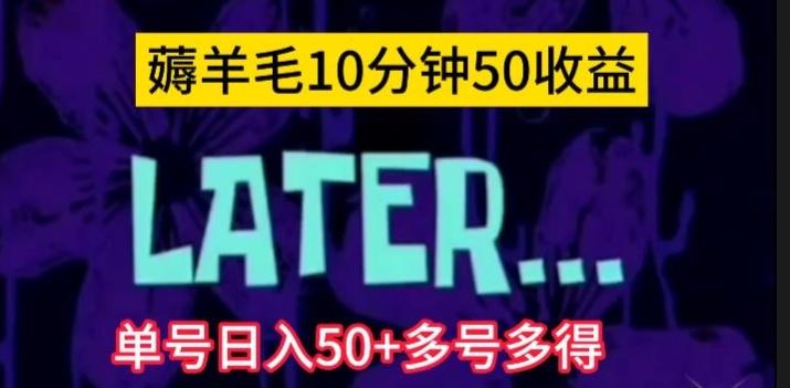 美团薅羊毛玩法，单号日入50+多号多得【仅揭秘】-九洲网