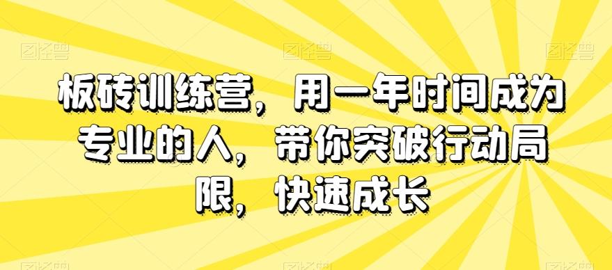 板砖训练营，用一年时间成为专业的人，带你突破行动局限，快速成长-九洲网