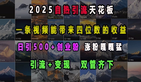 2025自热引流天花板，一条视频能带来四位数的收益，引流+变现双管齐下，日引500+创业粉，涨粉嘎嘎猛-九洲网