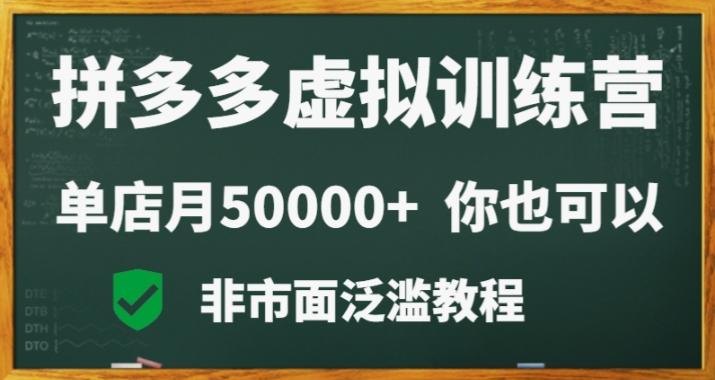 拼多多虚拟电商训练营月入30000+你也行，暴利稳定长久，副业首选-九洲网
