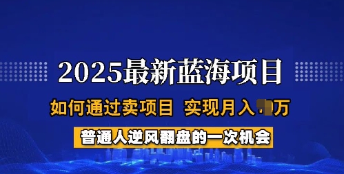 2025蓝海项目，普通人如何通过卖项目，实现月入过W，全过程【揭秘】-九洲网