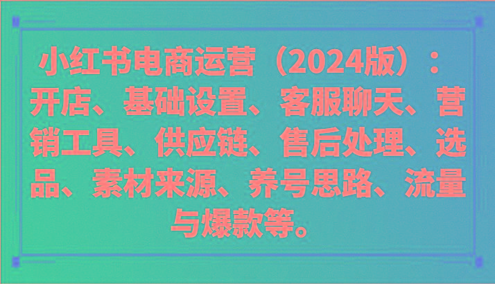 小红书电商运营(2024版)：开店、设置、供应链、选品、素材、养号、流量与爆款等-九洲网