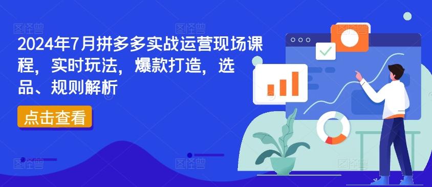 2024年7月拼多多实战运营现场课程，实时玩法，爆款打造，选品、规则解析-九洲网