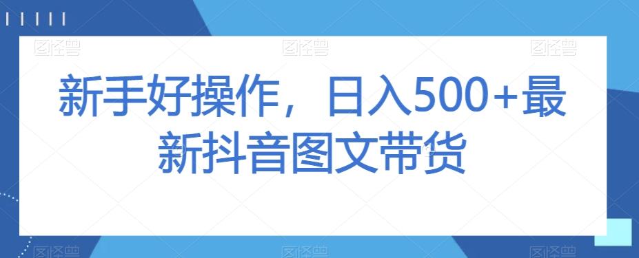 新手好操作，日入500+最新抖音图文带货【揭秘】-九洲网
