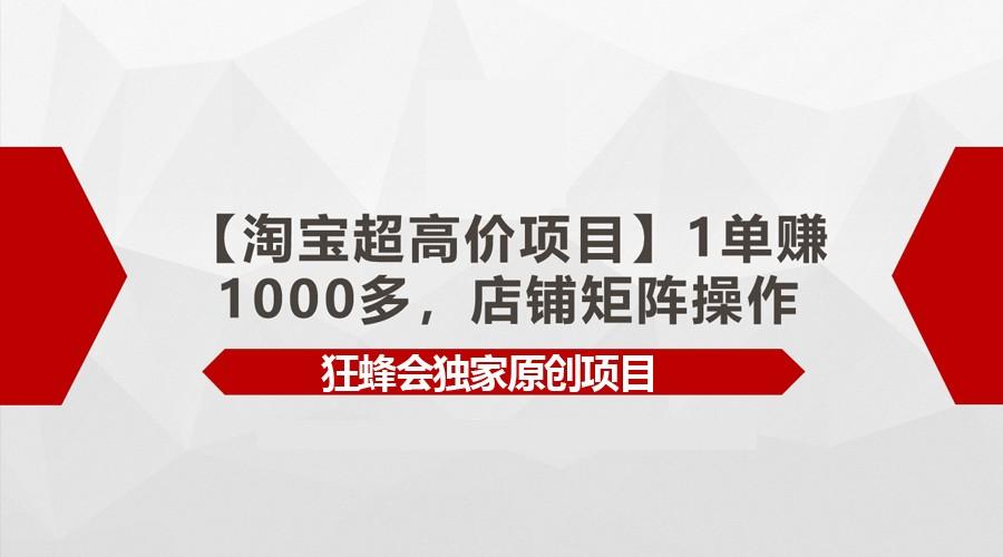 【淘宝超高价项目】1单赚1000多，店铺矩阵操作-九洲网