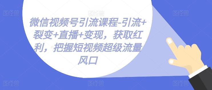 微信视频号引流课程-引流+裂变+直播+变现，获取红利，把握短视频超级流量风口-九洲网