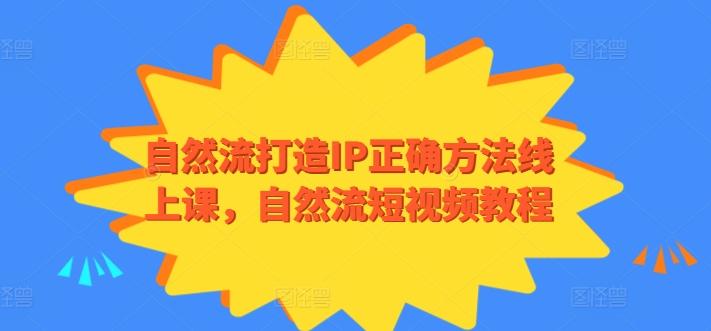 自然流打造IP正确方法线上课，自然流短视频教程-九洲网