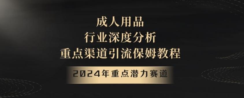 2024年重点潜力赛道，成人用品行业深度分析，重点渠道引流保姆教程【揭秘】-九洲网
