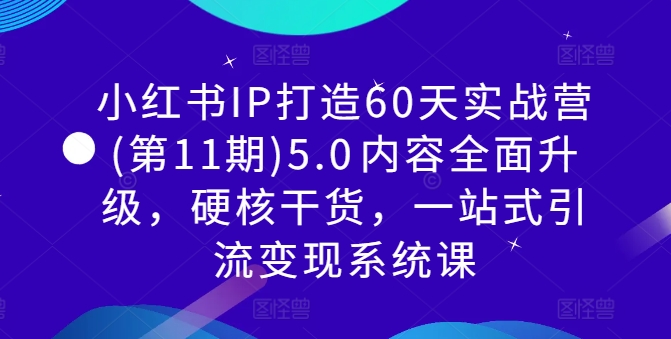 小红书IP打造60天实战营(第11期)5.0​内容全面升级，硬核干货，一站式引流变现系统课-九洲网