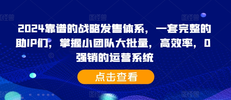 2024靠谱的战略发售体系，一套完整的助IP们，掌握小团队大批量，高效率，0 强销的运营系统-九洲网