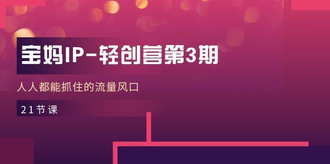 宝妈IP-轻创营第3期，人人都能抓住的流量风口(21节课-九洲网