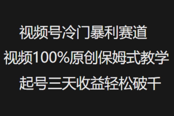 视频号冷门暴利赛道视频100%原创保姆式教学起号三天收益轻松破千-九洲网