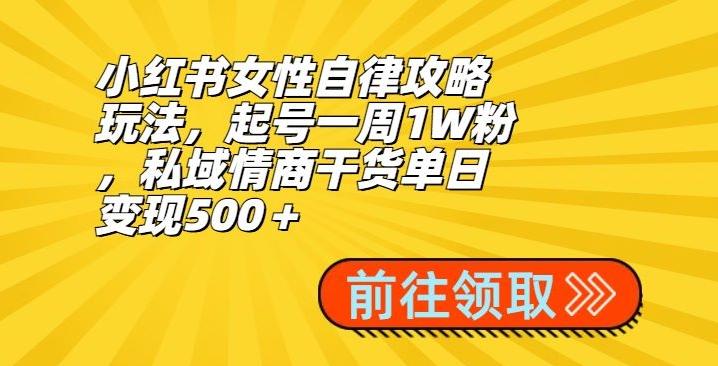 小红书女性自律攻略玩法，起号一周1W粉，私域情商干货单日变现500＋-九洲网