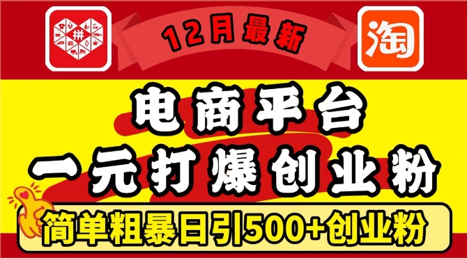 12月最新：电商平台1元打爆创业粉，简单粗暴日引500+精准创业粉，轻松月入过W【揭秘】-九洲网