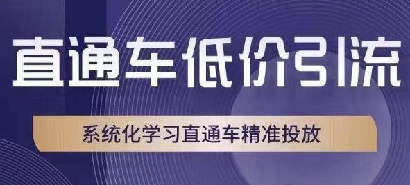 直通车低价引流课，系统化学习直通车精准投放-九洲网