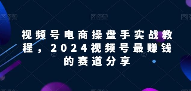 视频号电商实战教程，2024视频号最赚钱的赛道分享-九洲网
