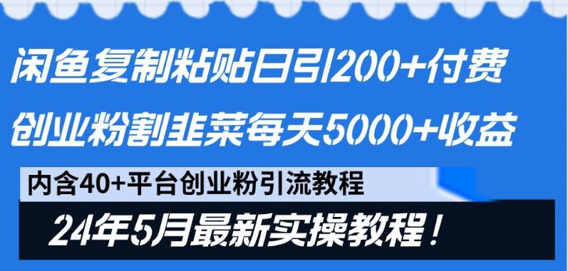 闲鱼复制粘贴日引200+付费创业粉，24年5月最新方法！割韭菜日稳定5000+收益-九洲网