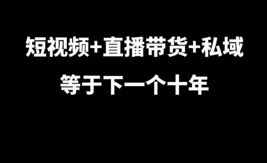 短视频+直播带货+私域等于下一个十年，大佬7年实战经验总结-九洲网