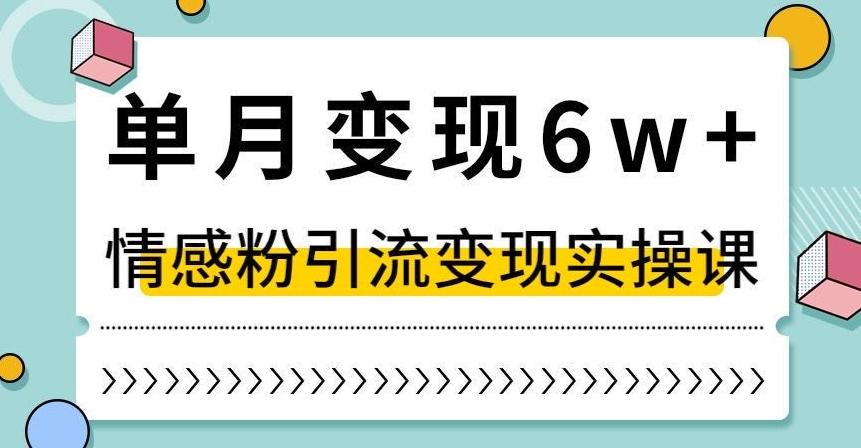单月变现6W+，抖音情感粉引流变现实操课，小白可做，轻松上手，独家赛道【揭秘】-九洲网