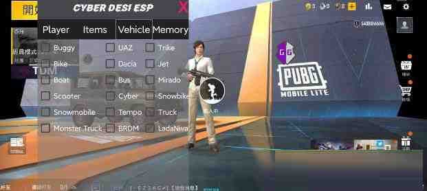 PUBG轻量老外裸奔绘制+自瞄 支持ROOT和框架 里面有全局离线-九洲网