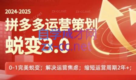 大力老师·2024拼多多运营策略蜕变3.0-九洲网