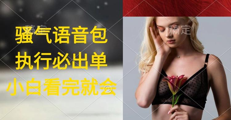 (9589期)执行就出单，日入2000+，超火骚气语音包，小白看完课程就能马上实操-九洲网