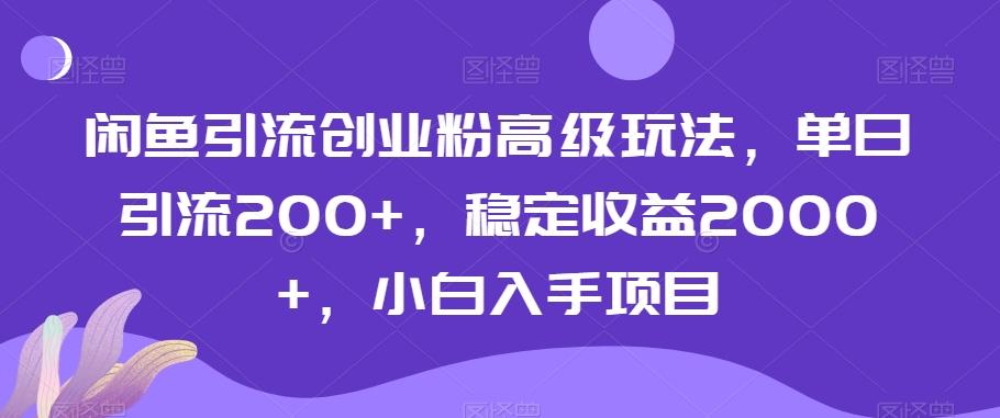 闲鱼引流创业粉高级玩法，单日引流200+，稳定收益2000+，小白入手项目-九洲网