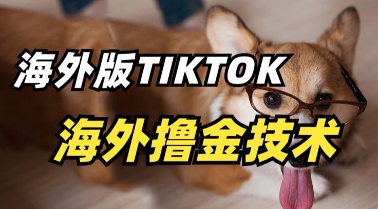 抖音海外版tiktok撸金技术，这个风口行业，赚钱真的不难【揭秘】-九洲网