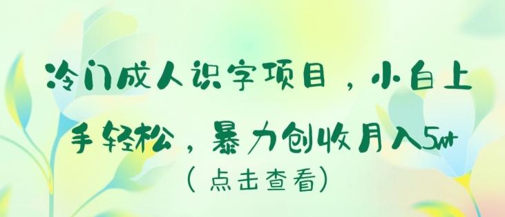 冷门成人识字项目，小白上手轻松，暴力创收月入5w+【揭秘】-九洲网