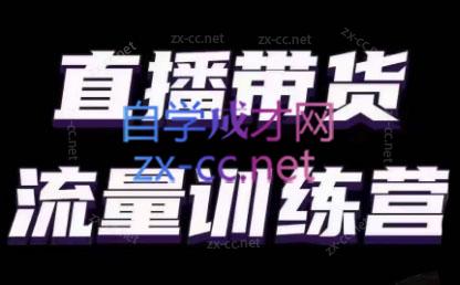 婉婉·直播带货课程系列合集(更新8月)-九洲网