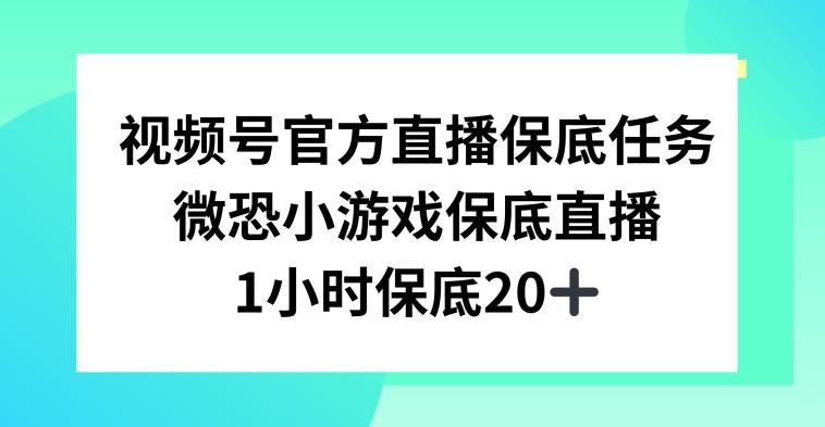 视频号直播任务，微恐小游戏，1小时20+【揭秘】-九洲网