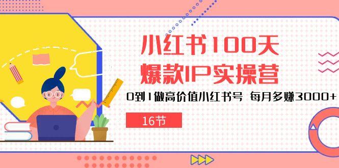 小红书100天-爆款IP实操营，0到1做高价值小红书号 每月多赚3000+(16节-九洲网