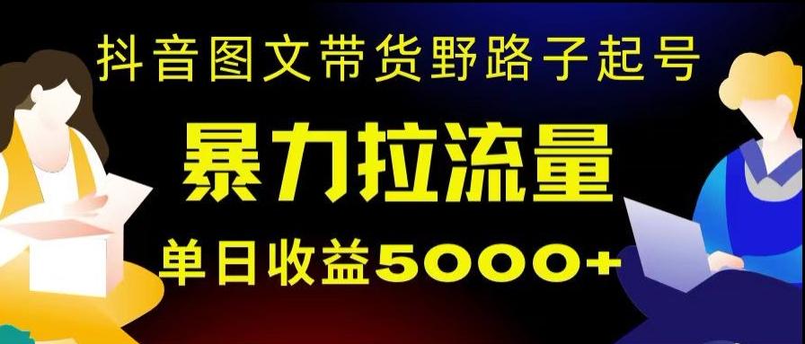 抖音图文带货暴力起号，单日收益5000+，野路子玩法，简单易上手，一部手机即可【揭秘】-九洲网
