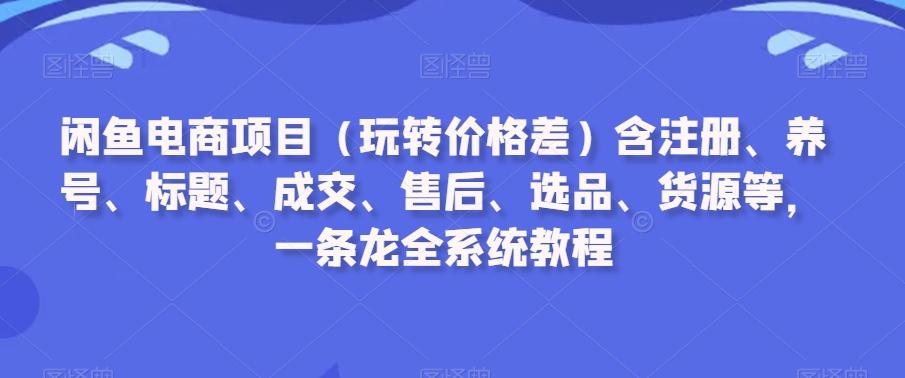 闲鱼电商项目(玩转价格差)含注册、养号、标题、成交、售后、选品、货源等，一条龙全系统教程-九洲网